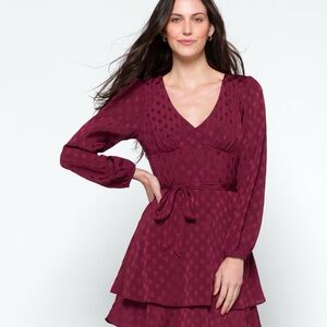 The General Good stitch fix burgundy satin dress size lg